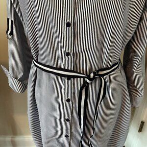 Pin Striped Shirt Dress / Blue and White/ X Large